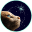 Catting - Meet Talking Cat logo